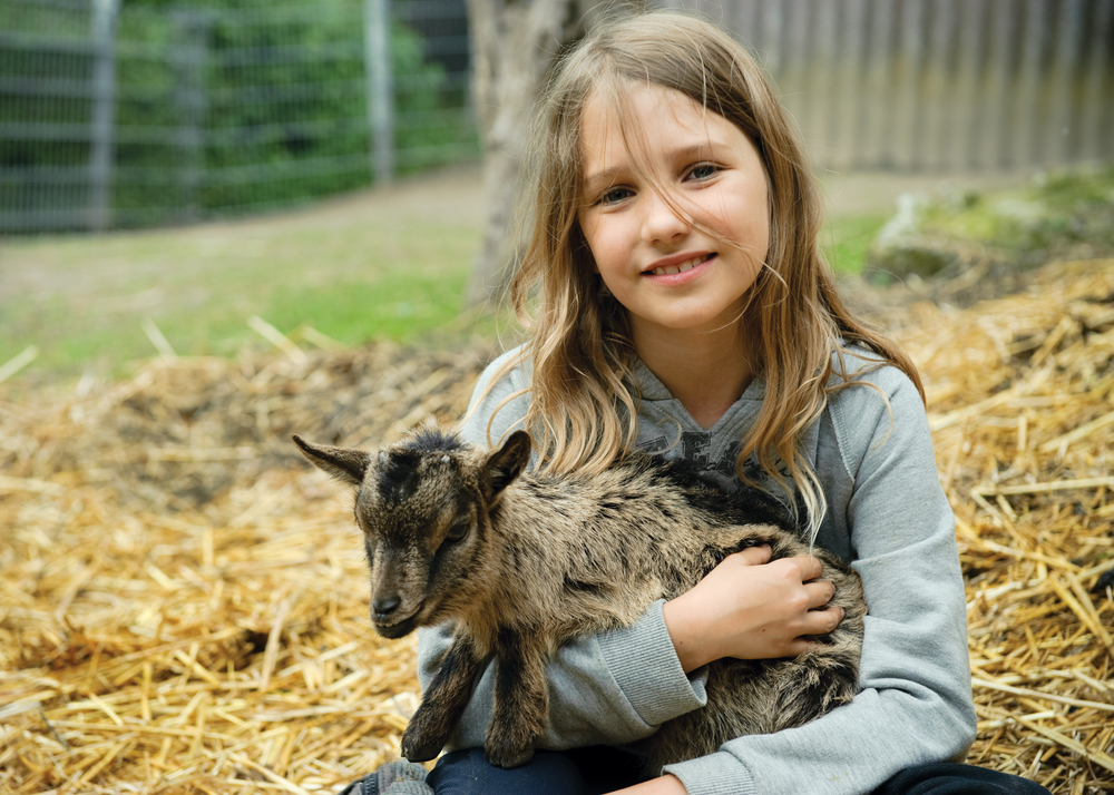 Le 18 migliori frasi, citazioni ed aforismi sull’animalismo animalismo