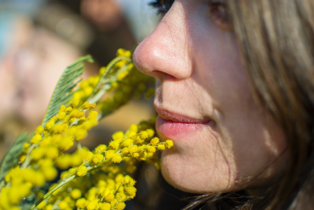 Festa della donna: 5 buone ragioni per rinunciare alle mimose mimose festa della donna