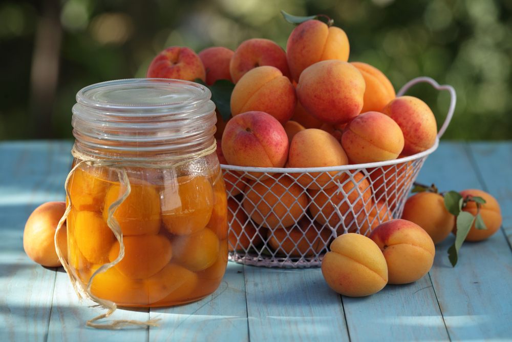 Albicocche, proprietà e 7 benefici di questo dolce frutto estivo proprietà albicocche