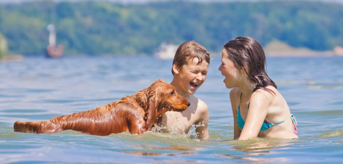 cani in spiaggia