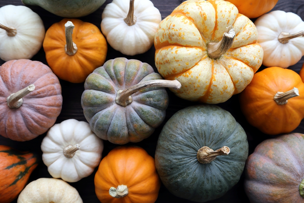 7 cose che, forse, non sapevi sulla zucca