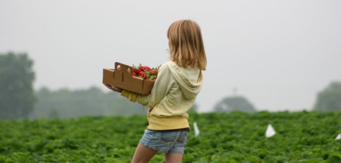 come aprire azienda agricola