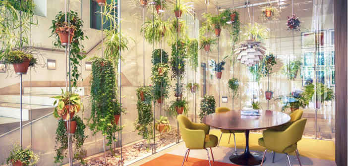 Complementi d’arredo eco sostenibili: come sceglierli?
