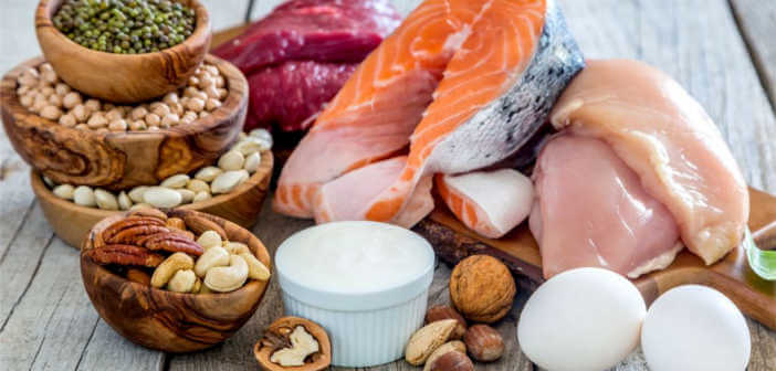 Dieta Plank: Come funziona, menù e controindicazioni Dieta Plank