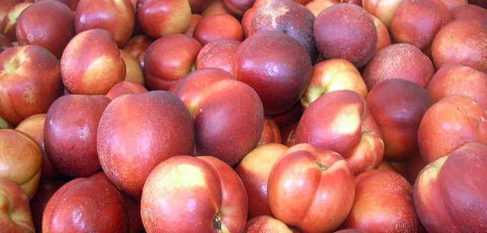 Pesche nettarine proprietà e benefici pesche nettarine