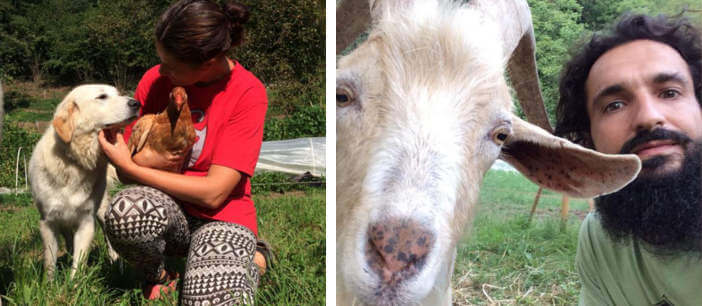 agriturismo vegano con animali
