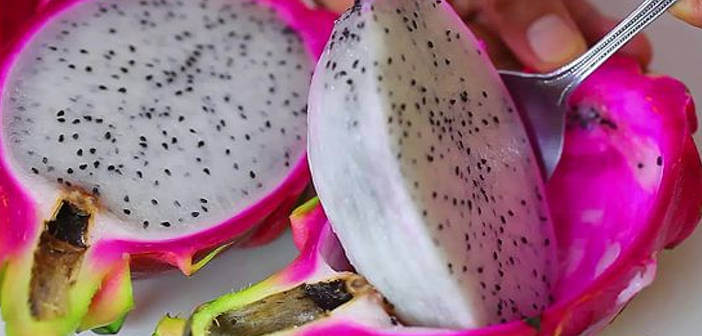 Frutto del dragone (pitaya): 6 effetti benefici frutto del drago