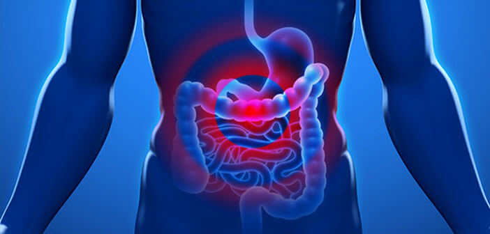 Come digerire con 5 metodi naturali come digerire con metodi naturali