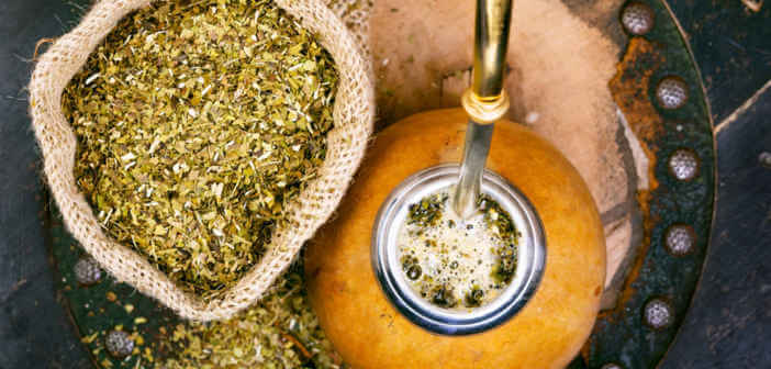 Yerba maté